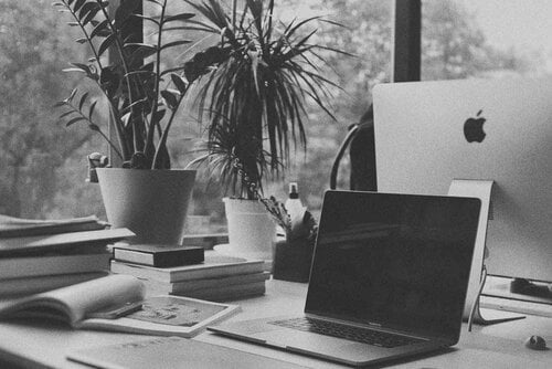 plants and laptop in home office