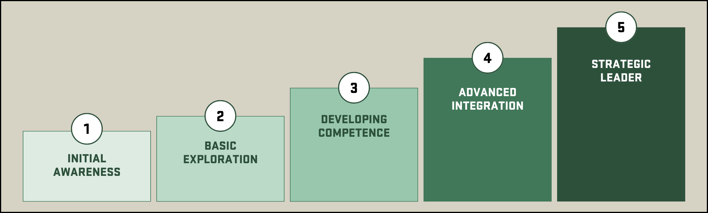 Phases of HRBP Maturity Model