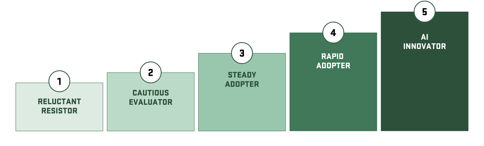 Pioneer Maturity Model (1)